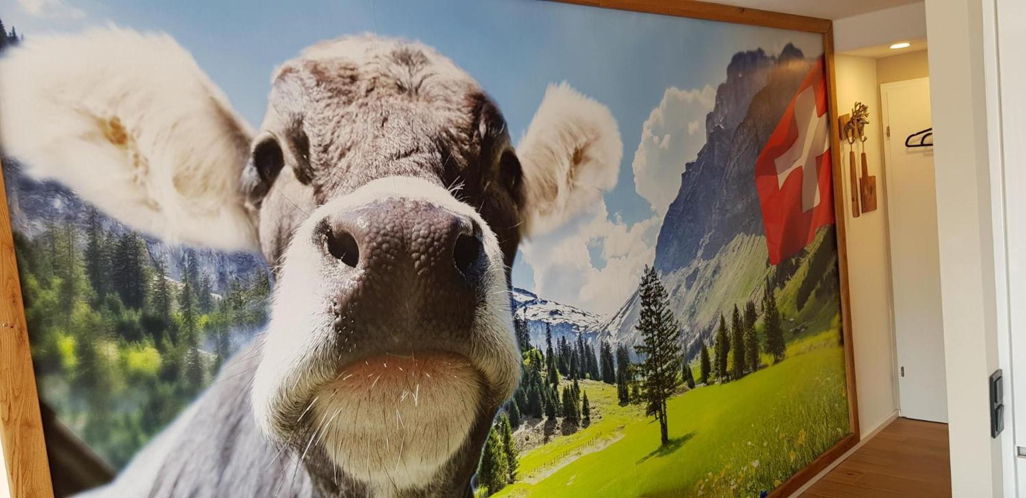 Almi - Alpenglueck Traumhafte Whg.M.20Qm Dachterr. Daire Oberstaufen Dış mekan fotoğraf